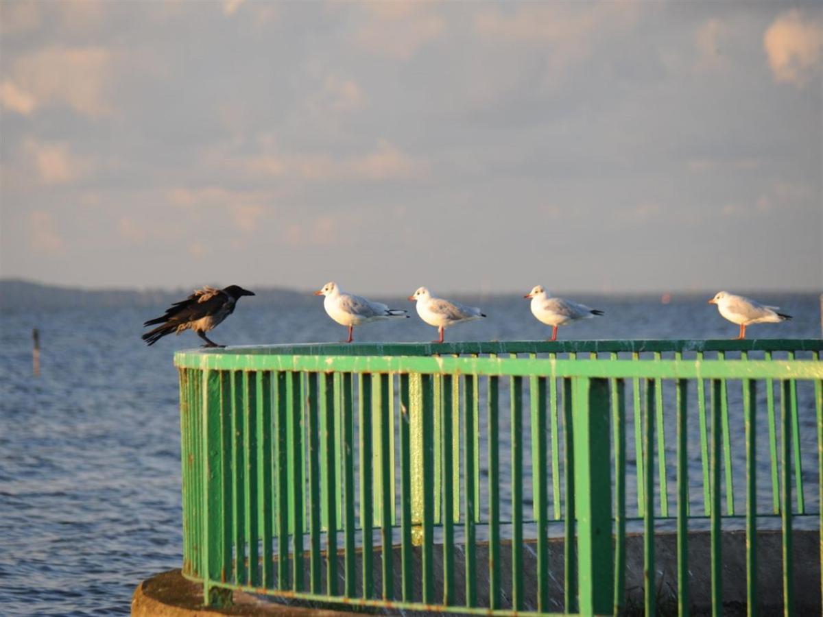 Ferienwohnung Abendrot Und Hafeneinfahrt Ueckermünde Exterior foto